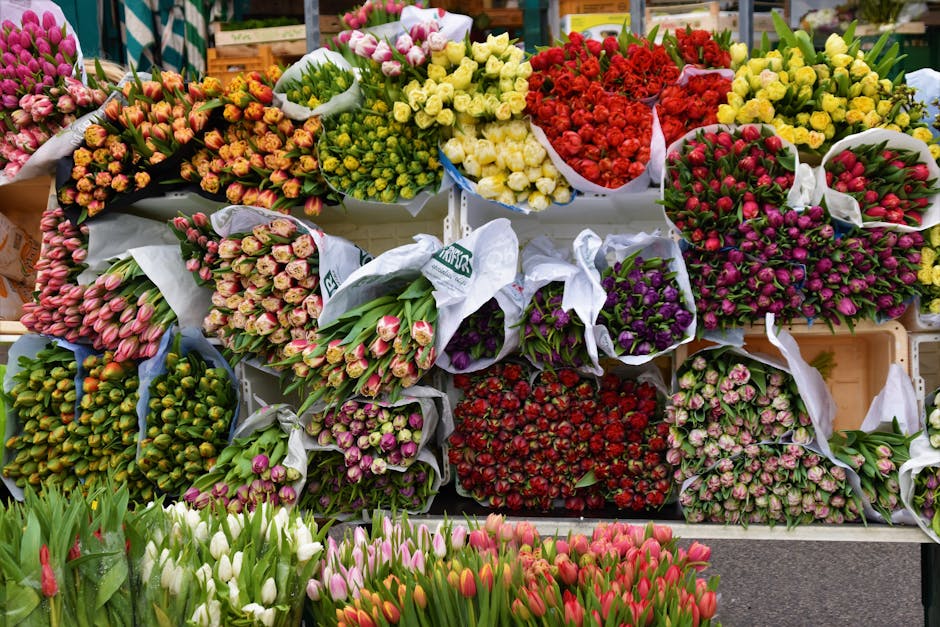 A vibrant display of fresh flower bouquets at Gerrards Cross high street florist, arranged on shelves and in baskets. The arrangements feature tulips in shades of pink, white, and red, alongside clust